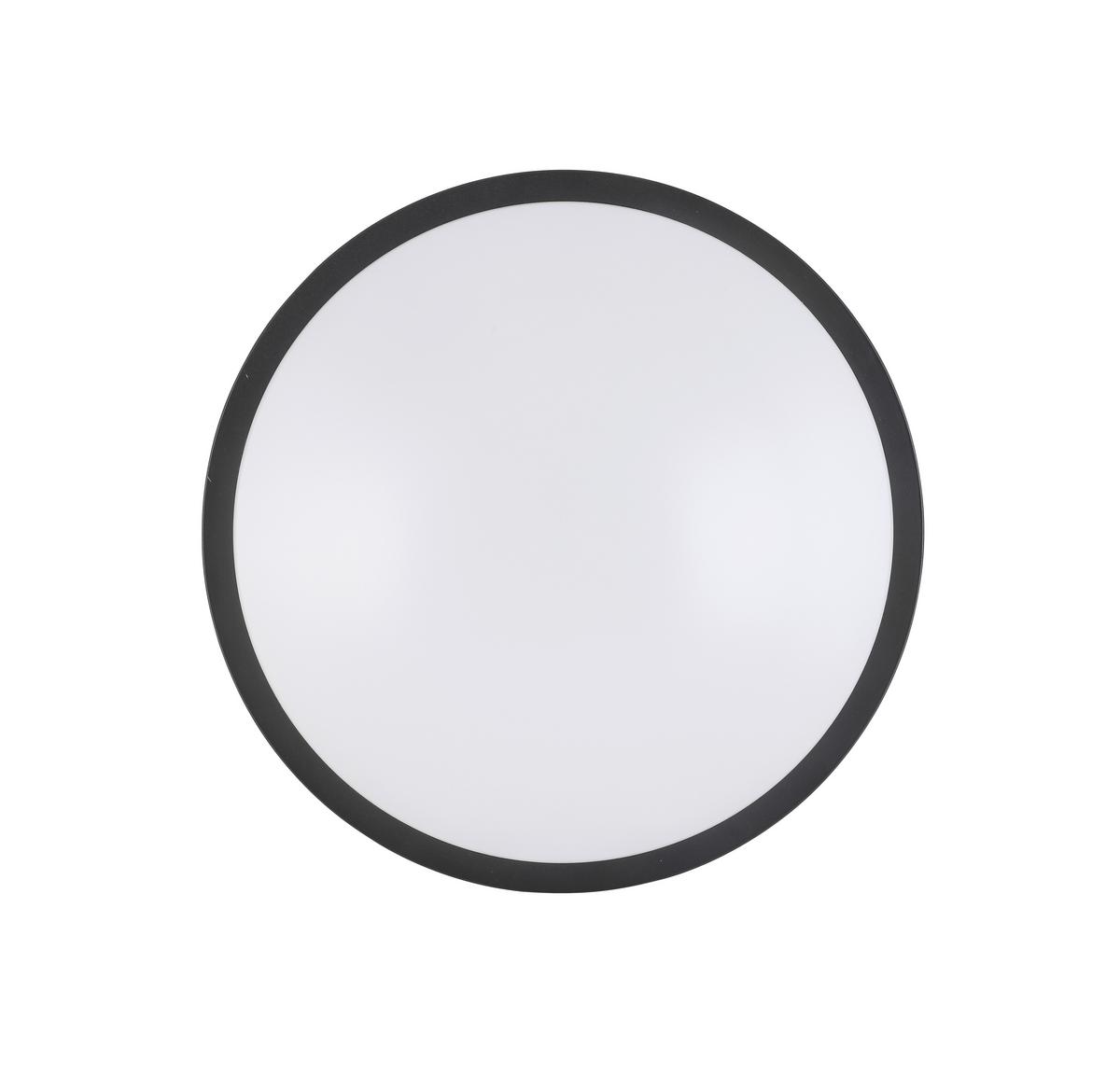 Plafonieră cu Led SHIRLEY - negru, Konventionell, plastic/metal (35/7/7cm) - Modern Living