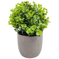 Biljka Umjetna Rino - siva/zelena, Moderno, plastika/keramika (10/20cm) - Mömax