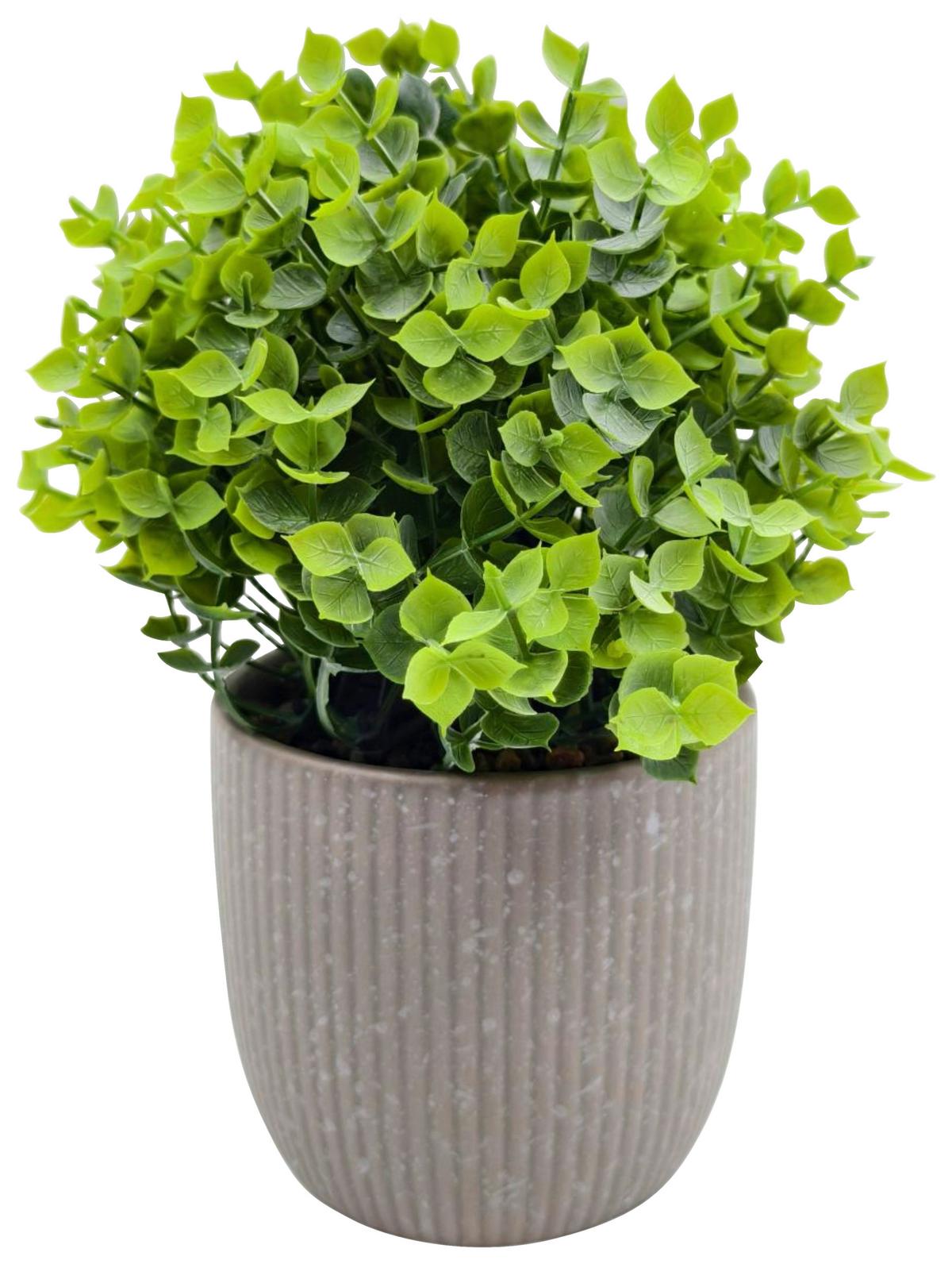 Biljka Umjetna Rino - siva/zelena, Moderno, plastika/keramika (10/20cm) - Mömax