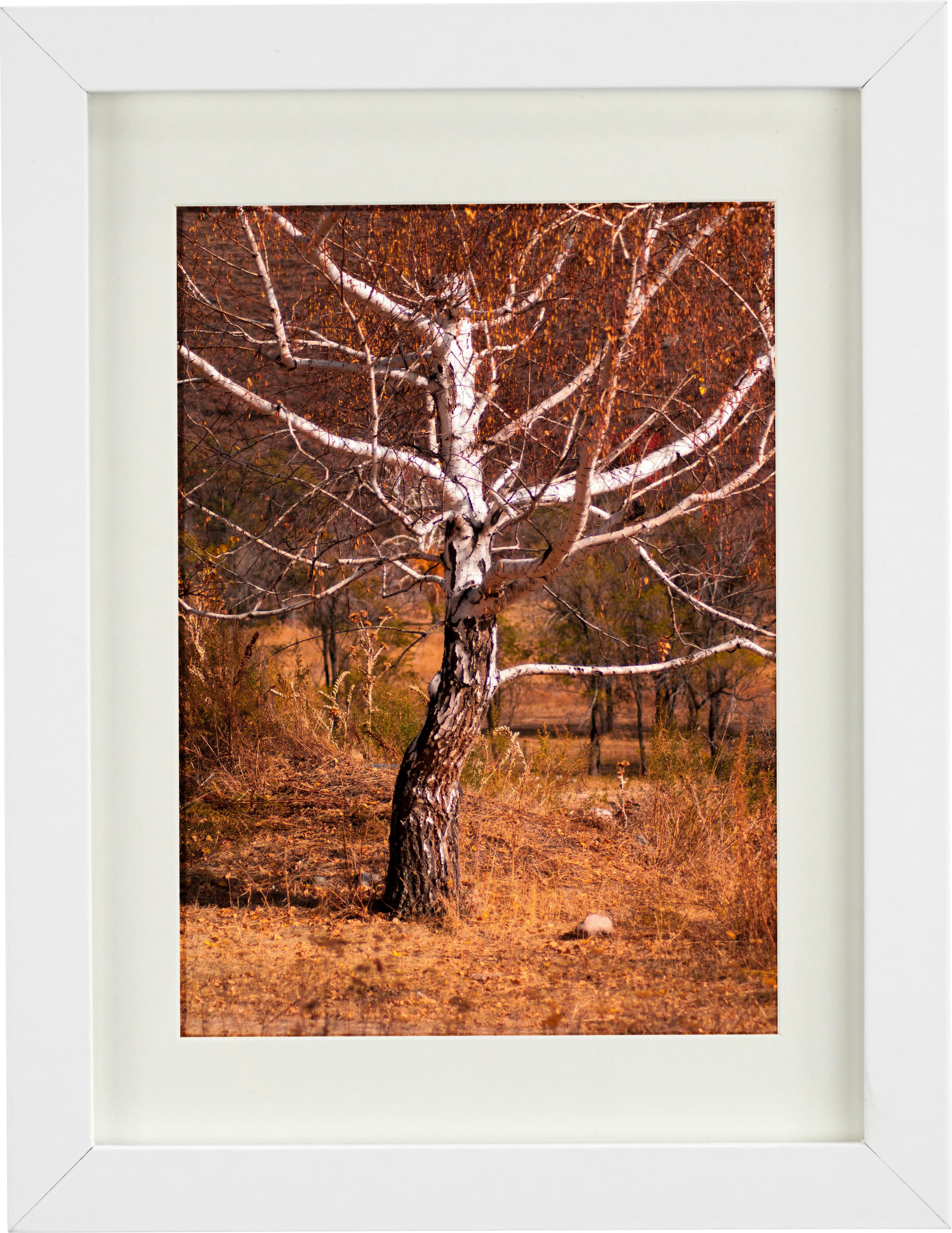 Rahmen Gitta in Weiß ca. 60x80cm - Weiß, MODERN, Holzwerkstoff/Kunststoff (60/80cm) - Modern Living