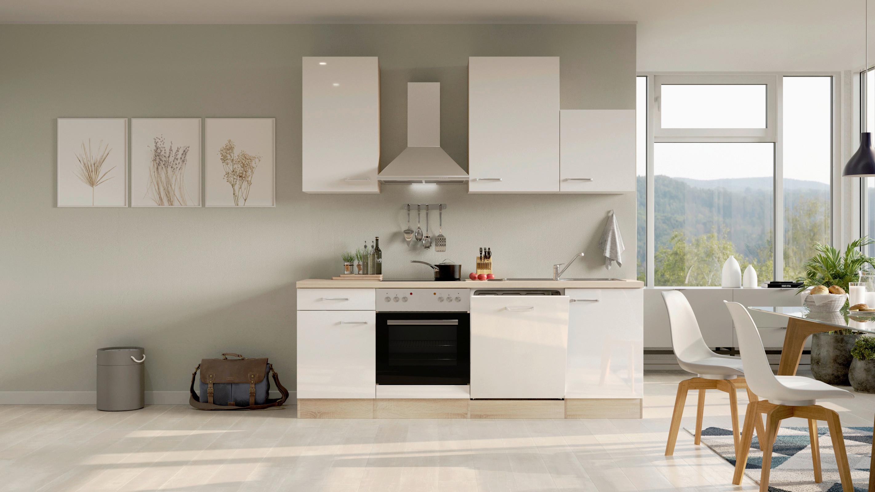 Kuhinjski Blok Z Aparati Valero, Bela, Barva Hrasta - barve nerjavečega jekla/bela, Moderno, kovina/leseni material (220cm) - FlexWell