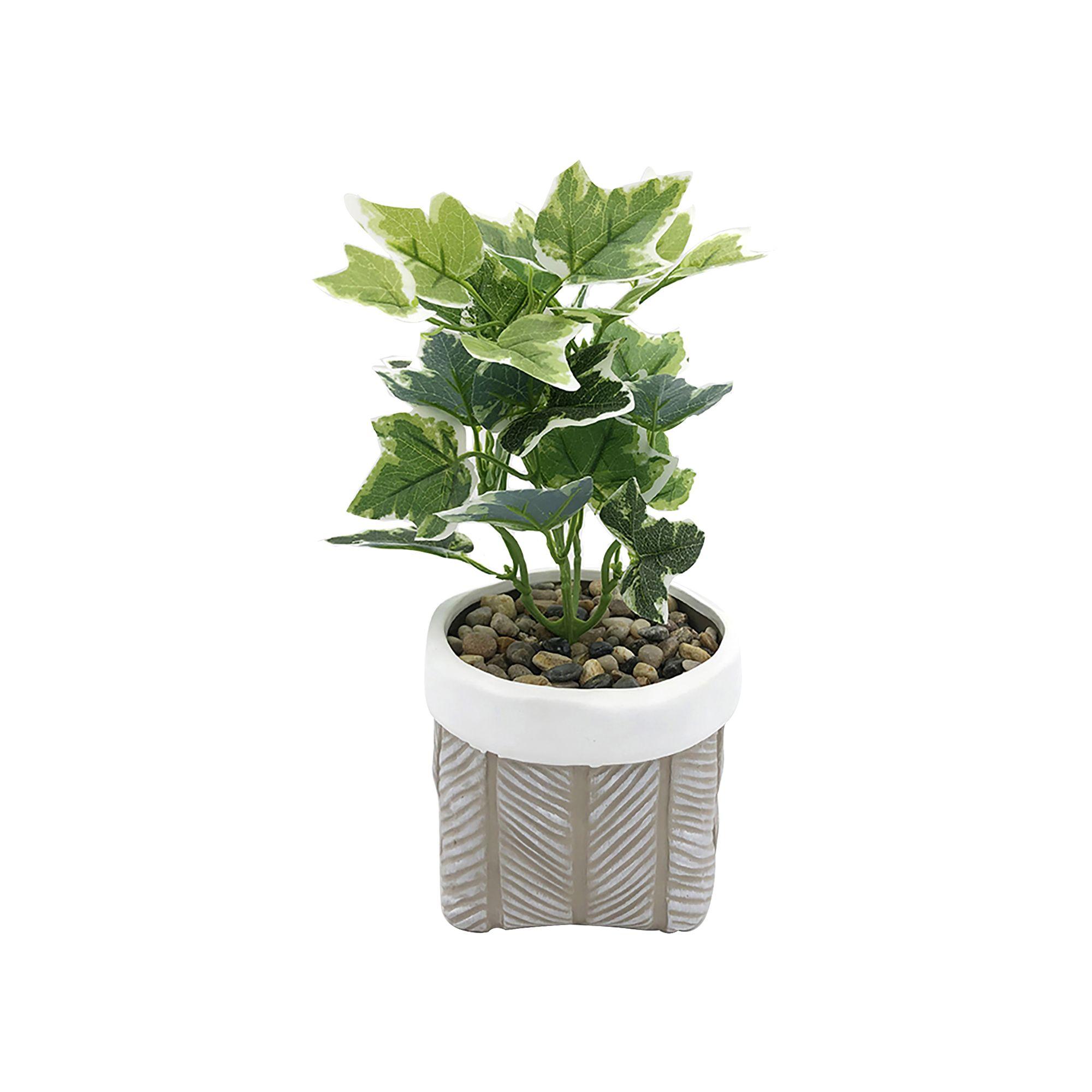 Kunstpflanze Grünpflanze Ø ca. 14cm - weiss/Grau, Modern, Keramik/Kunststoff (14/32cm) - Modern Living