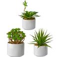 Művirág Helena - zöld, műanyag (18cm) - MÖMAX modern living