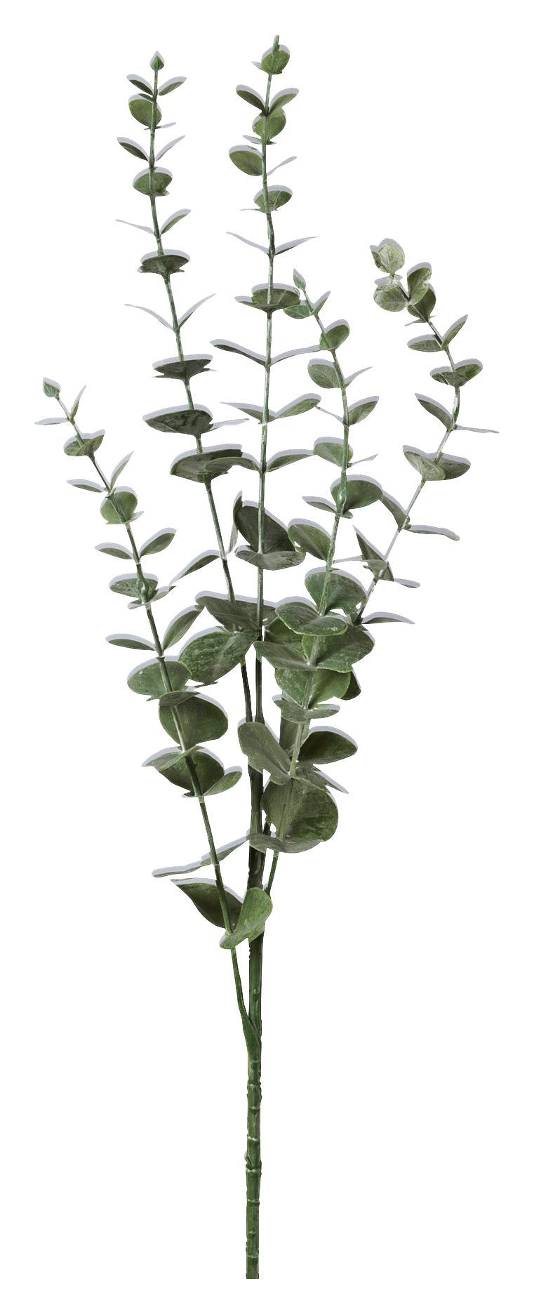 Dekozweig Eukalyphtus aus Kunststoff - Braun/Grau, Kunststoff (73cm)