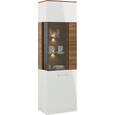 Vitrine in Weiß/akaziefarben - Weiß/Akaziefarben, MODERN, Holzwerkstoff (60/202/40cm) - PREMIUM LIVING
