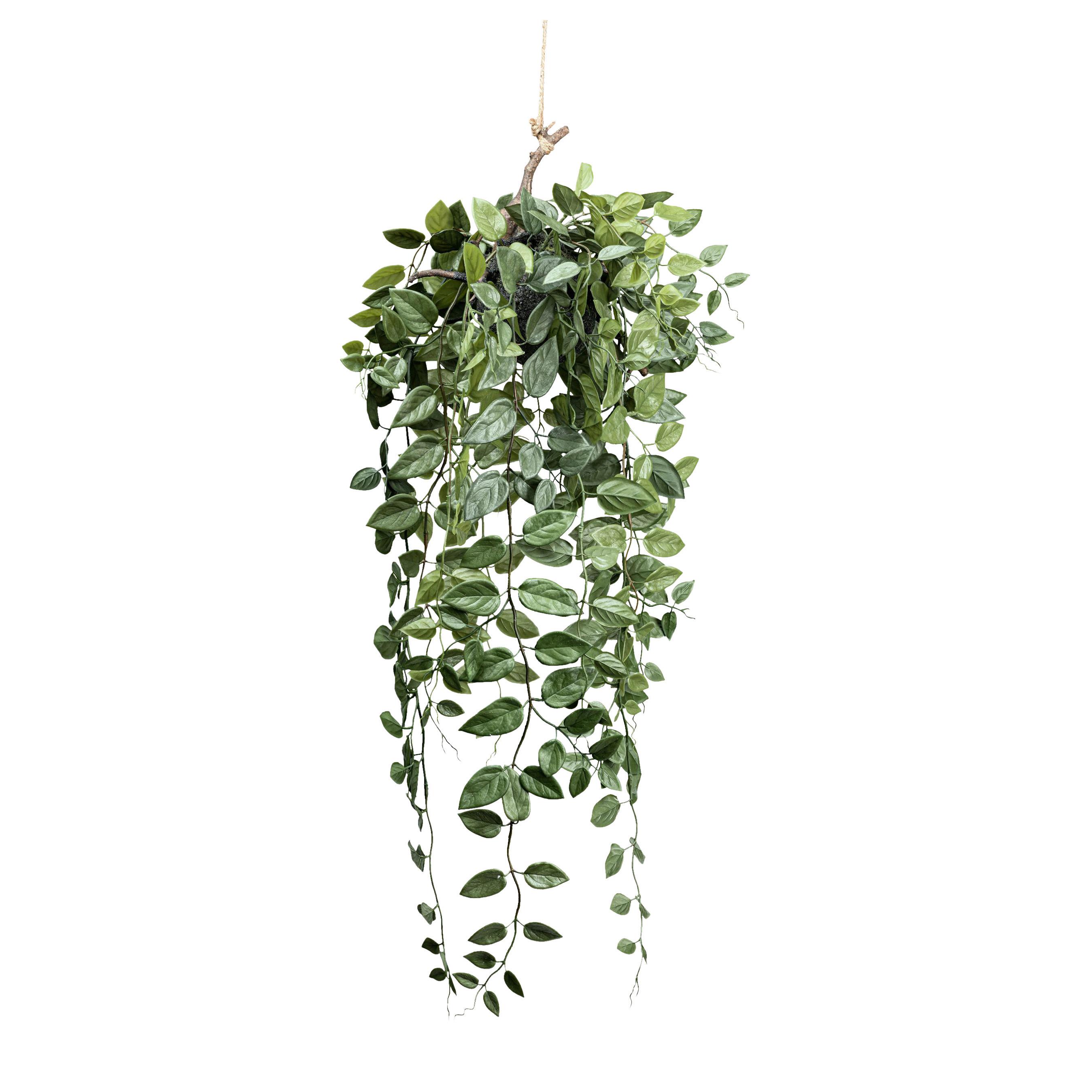 Kunstpflanze Epipremnum II in Grün - Grün, LIFESTYLE, Kunststoff (75cm) - Modern Living