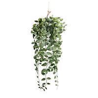 Kunstpflanze Epipremnum II in Grün - Grün, LIFESTYLE, Kunststoff (75cm) - Modern Living