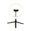 LED-RINGLAMPA TOFO - svart, Modern, metall/plast (24,5/38cm) - Mömax