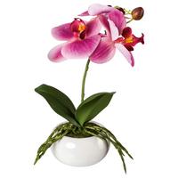 Kunstpflanze Orchideen Dunkelrosa/Grün - Dunkelrosa/Rosa, Design, Keramik/Kunststoff (27cm)