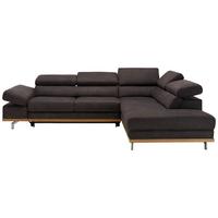 Wohnlandschaft Carmen in Platin mit Bettfunktion - Platinfarben/Chromfarben, KONVENTIONELL, Holz/Textil (292/72/226cm) - Premium Living