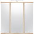 Spiegelschrank Sonoma Eiche - Champagner/Edelstahlfarben, MODERN, Glas/Holz (90/89.2/22cm) - premium living