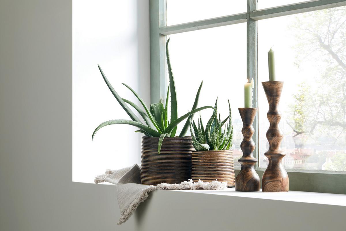 Kaspó Lenuia - natúr színű, Lifestyle, fa (15/17cm) - Premium Living