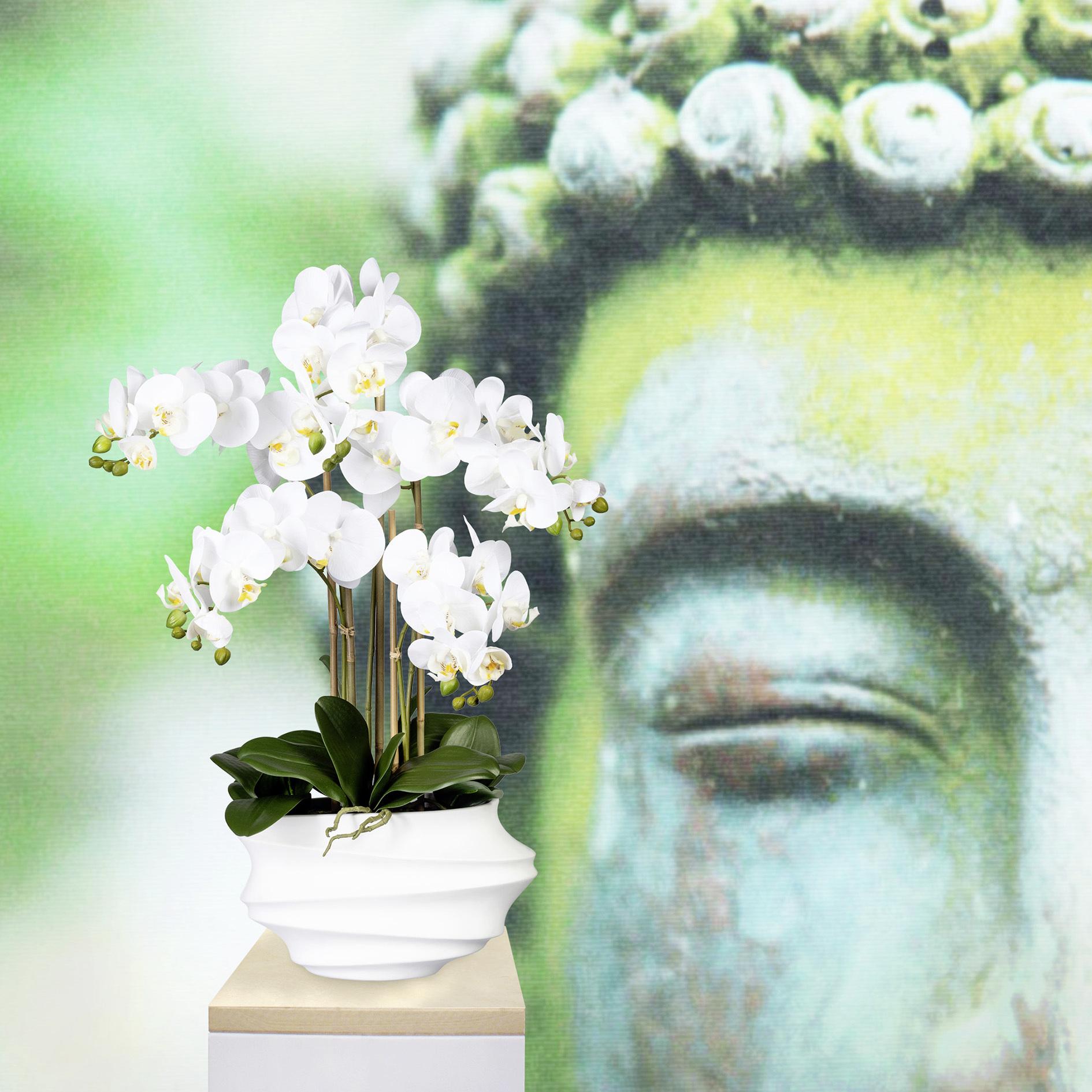 Kunstblume Orchidee, ca. 75cm - Weiß/Braun, Trend, Kunststoff (75cm) - P & B