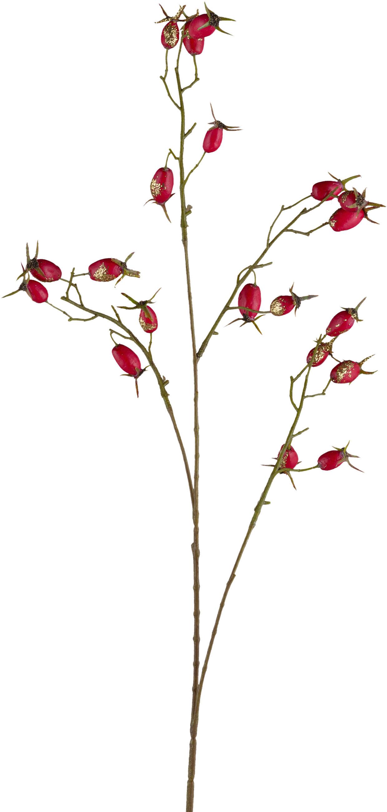 Dekor Gally Dave - barna/piros, Konventionell, műanyag (77cm) - Modern Living