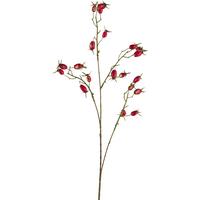 Dekor Gally Dave - barna/piros, Konventionell, műanyag (77cm) - Modern Living