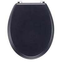 DESKA SEDESOWA WC-SITZ ANTHRAZIT - antracytowy, Basics, tworzywo sztuczne (45/36/5cm)
