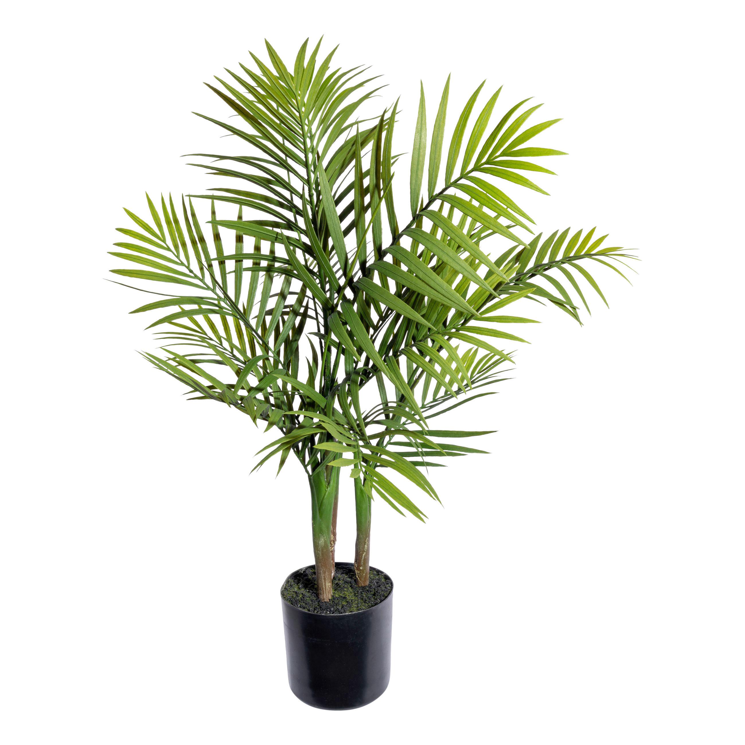 Kunstpflanze Bergpalme II in Grün/Schwarz - Schwarz/Grün, Basics, Kunststoff (65cm) - Modern Living