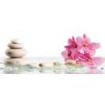 Glasbild Harmonious, ca. 50x125x2cm - Multicolor, MODERN, Glas (50/125/2cm) - MÖMAX modern living
