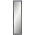 Wandspiegel Silber 40x160cm - Grau, MODERN, Glas/Holzwerkstoff (40/160cm)