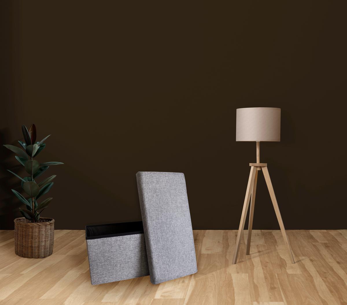 Sitzbox Grau Kunststoff faltbar mit Stauraum - Grau, Basics, Textil (76/38/38cm) - Echtwerk