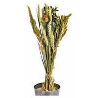 BUKIET Z SUSZONYCH KWIATÓW 10035258 - beżowy/zielony, Basics, materiały naturalne (60cm)