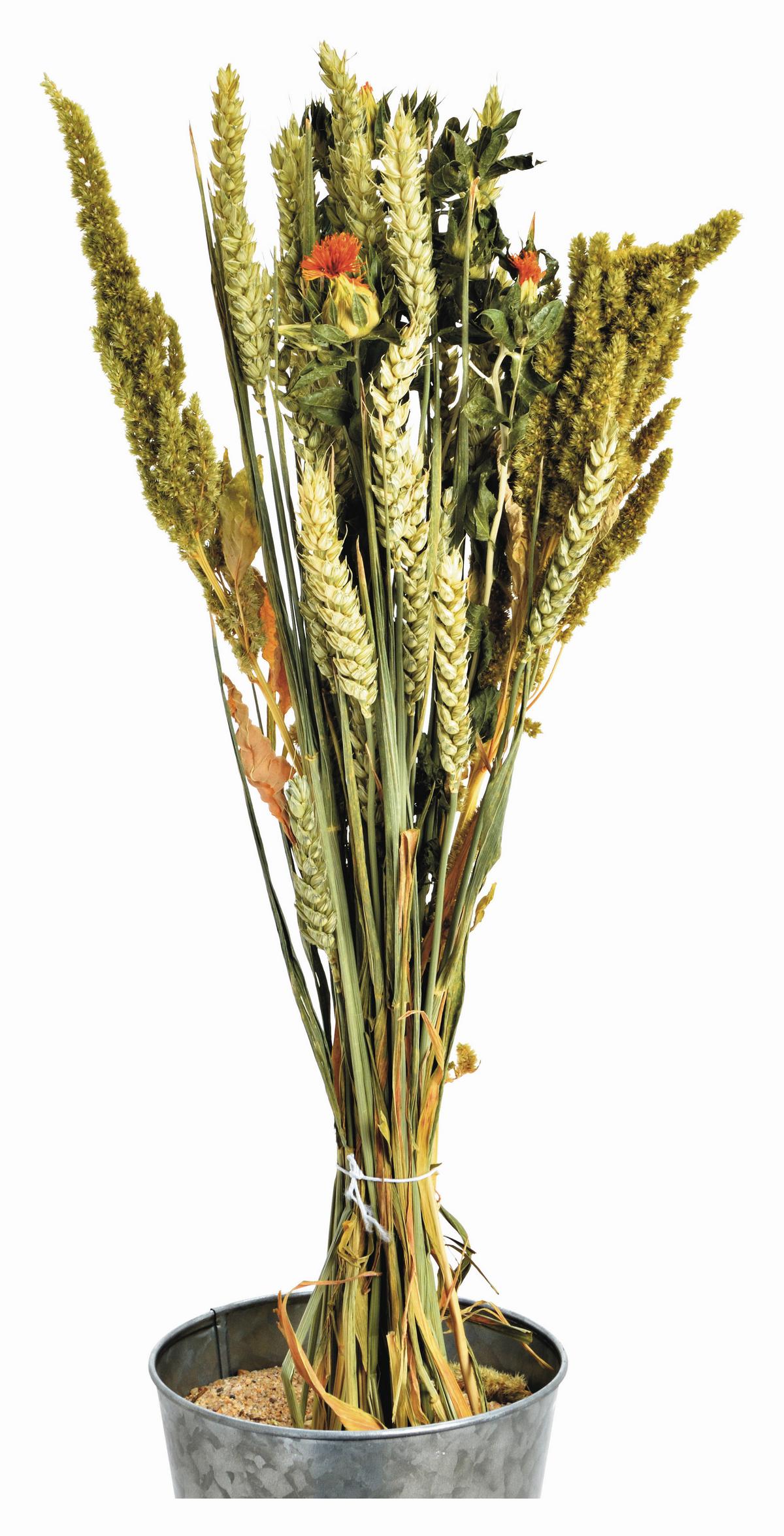 BUKIET Z SUSZONYCH KWIATÓW 10035258 - beżowy/zielony, Basics, materiały naturalne (60cm)