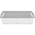 Aufbewahrungsbox Mega - Transparent, Kunststoff (76/57/18cm) - Mömax modern living