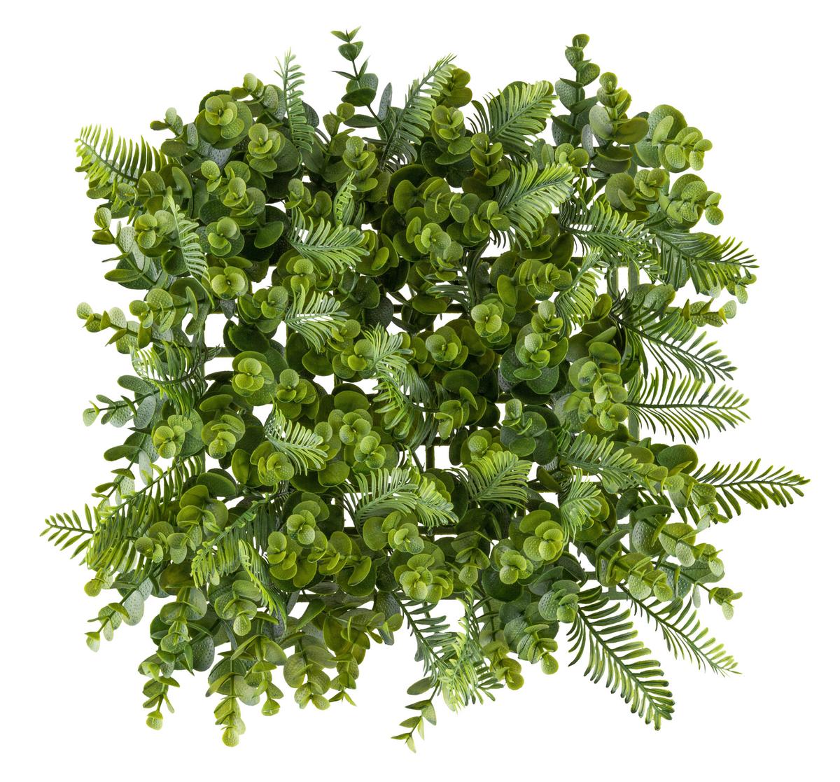 Plantă artificială Wandmatte - verde, Konventionell, plastic (25/25cm) - Mömax