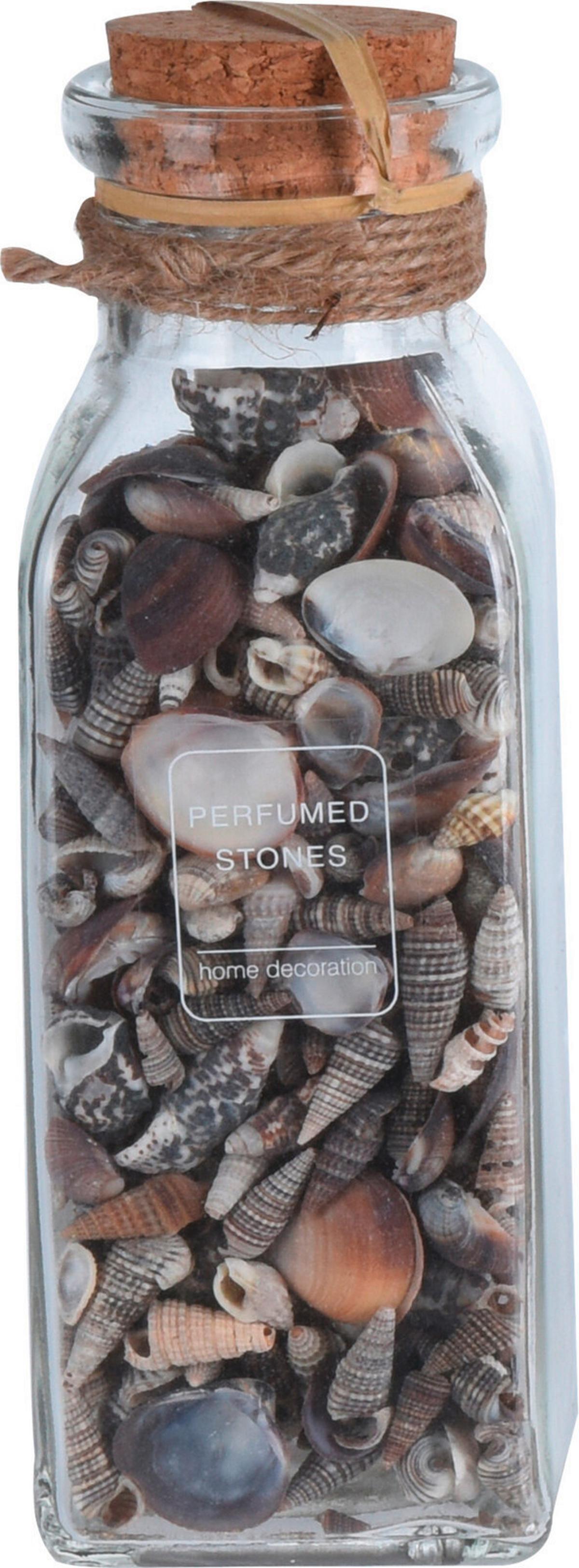 Dekor Kagyló Shellby - természetes anyagok (6/6/19cm)
