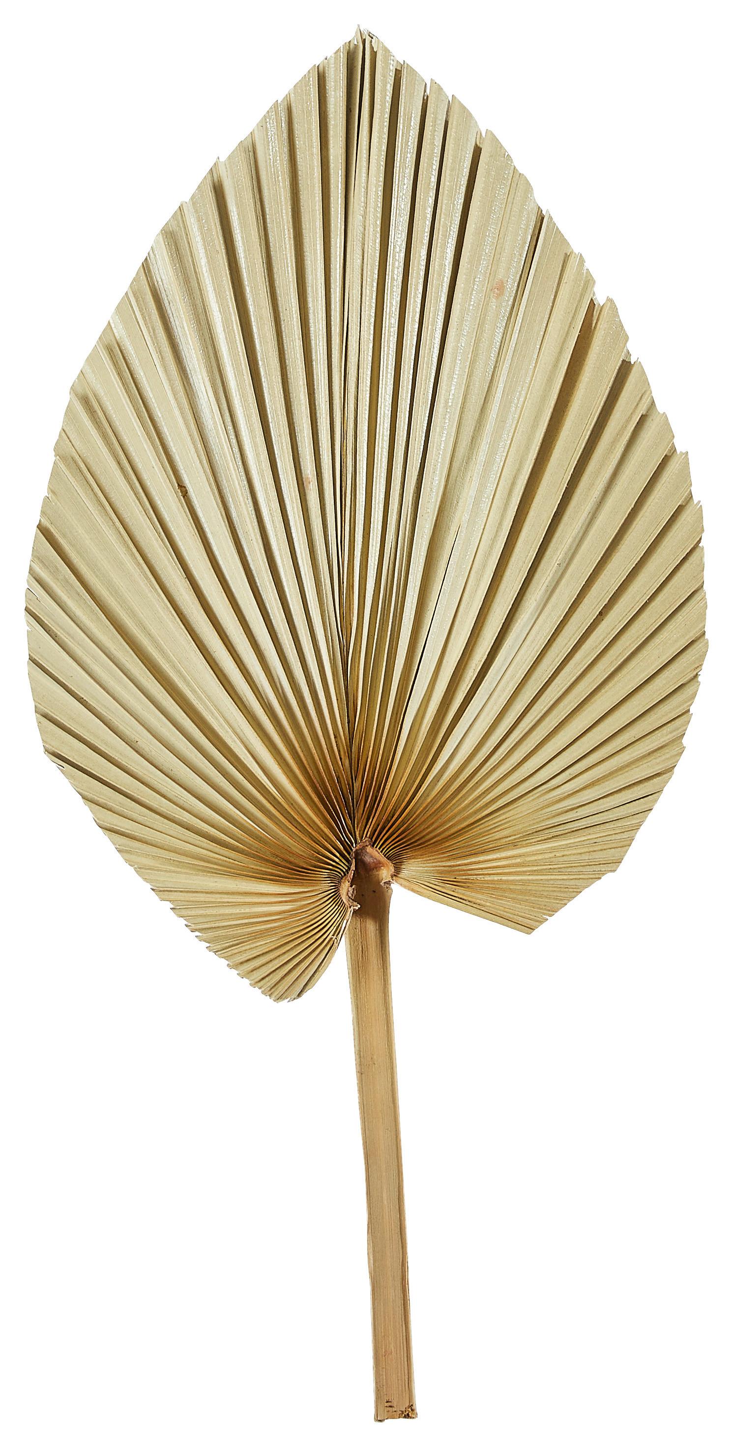 SUCHY KWIAT 2045-616 - kolor naturalny, Basics (48cm)