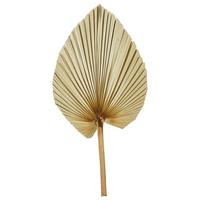 SUCHY KWIAT 2045-616 - kolor naturalny, Basics (48cm)
