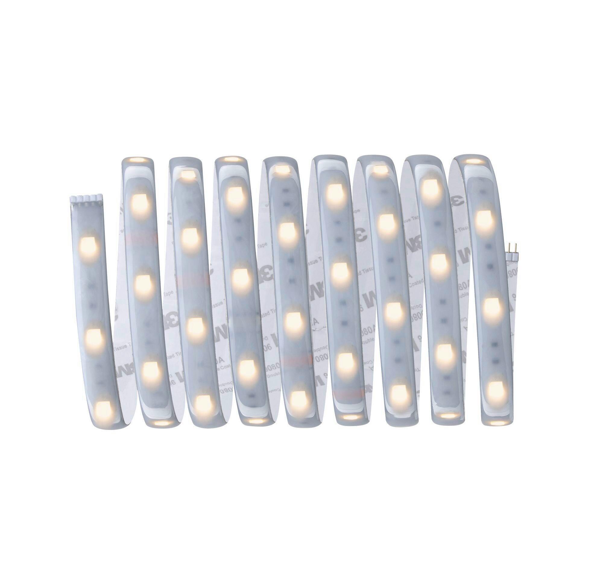 LED-Strip MaxLED 250 max. 17 Watt - Silberfarben, Basics, Kunststoff (250cm) - Paulmann
