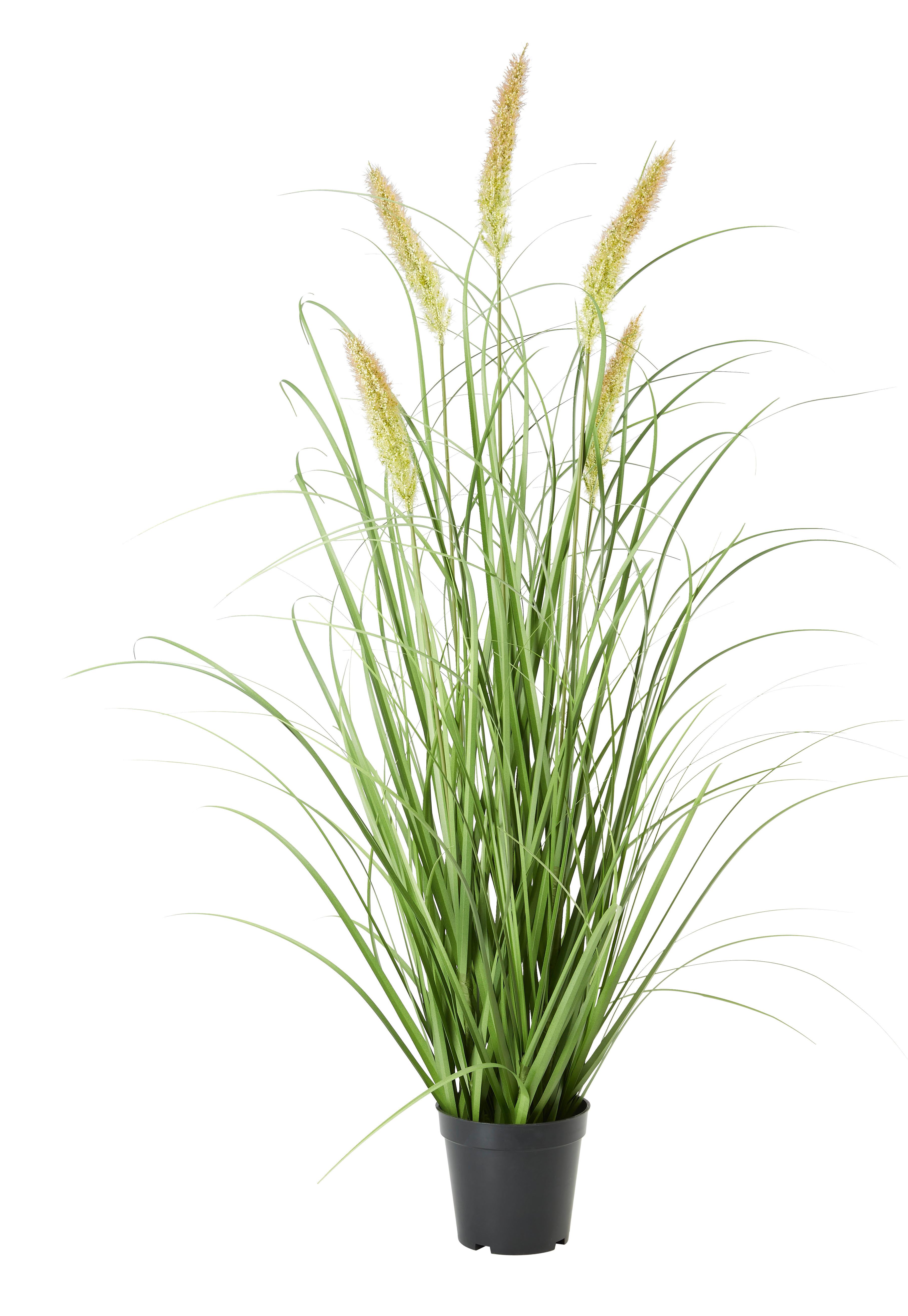 Műnövény Penisetum Ii - Zöld/Fekete, Basics, Műanyag/Textil (97cm) - Modern Living