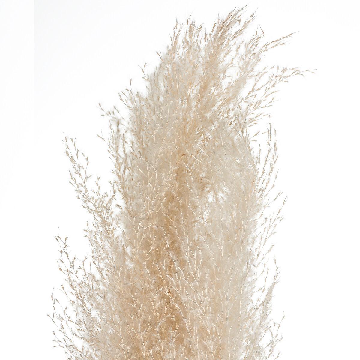 Floare artificială Pampa - Basics (11/109cm)