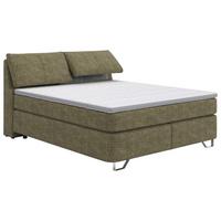 Boxspringbett Tabea Grün ca. 180x200cm - Alufarben/Grün, KONVENTIONELL, Karton/Naturmaterialien (180/200cm) - Premium Living