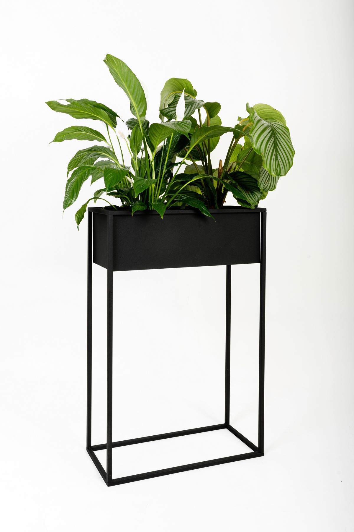 Blumenständer Marsylia Schwarz - Schwarz, Basics, Metall (60/23/90cm)