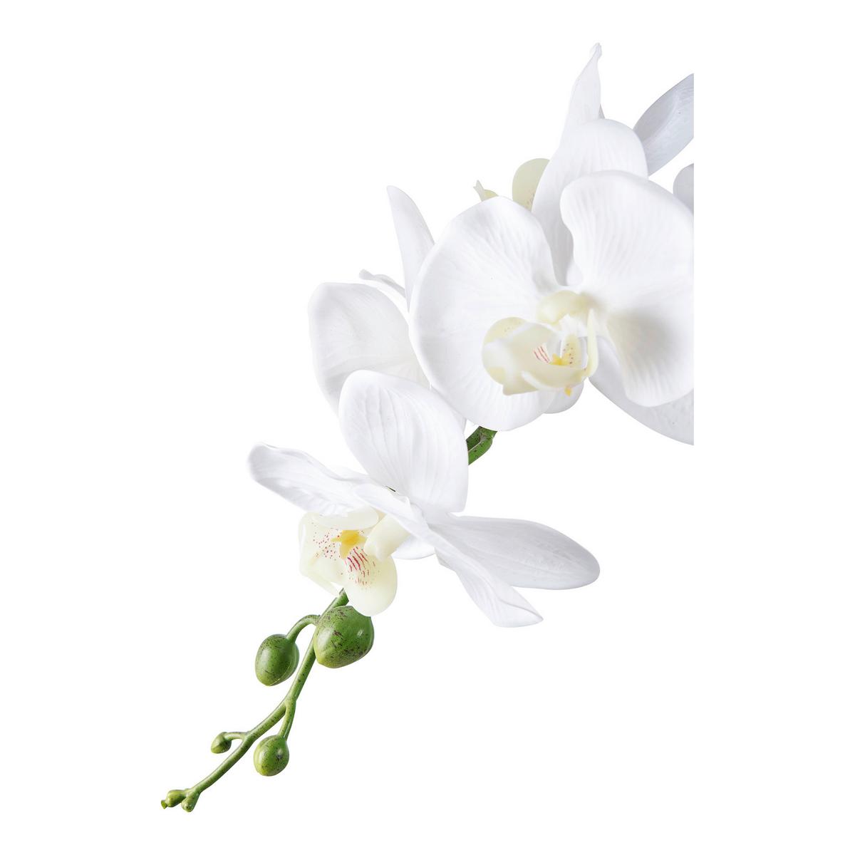 Kunstpflanze Orchid Weiß - Weiß, Design (21/47/34cm)