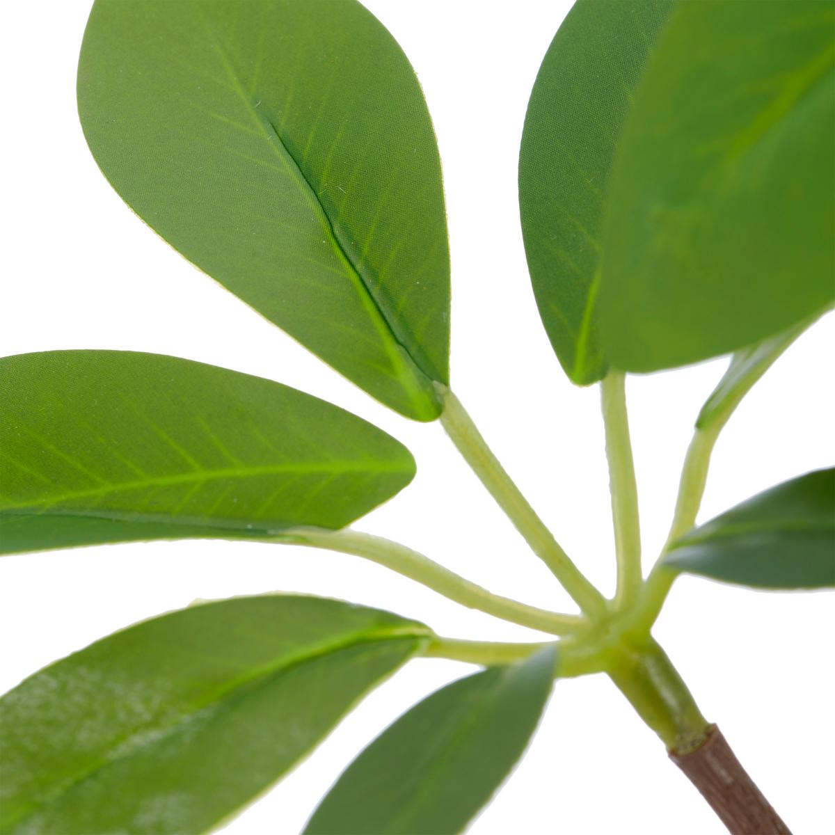 Schefflerazweig II Grün ca. 73cm - Grün, Basics, Kunststoff/Metall (73cm) - Mömax