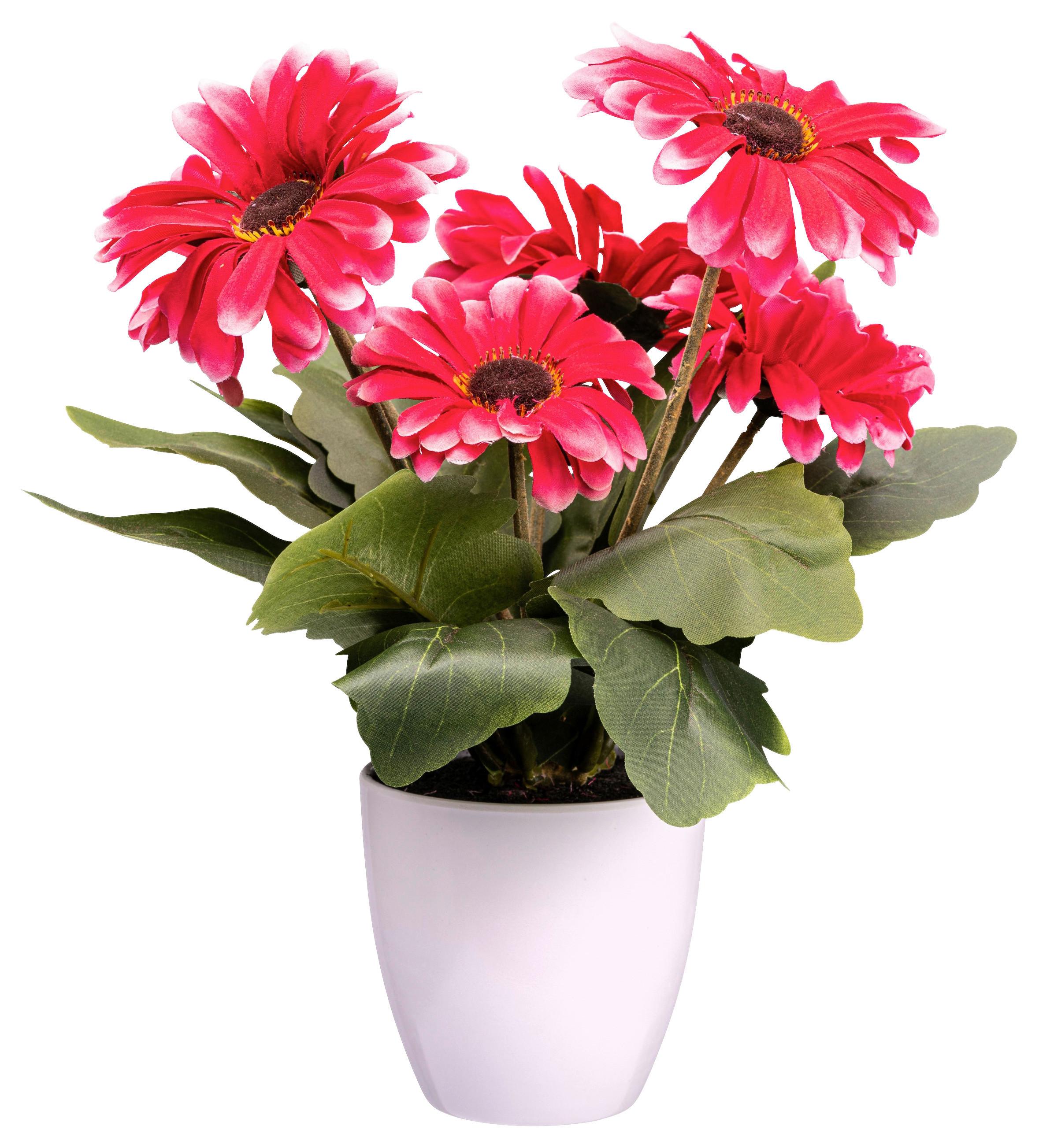 Műnövény Gerbera - krémszínű/rózsaszín, Konventionell, műanyag (27cm) - Modern Living
