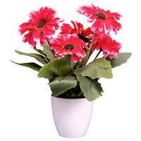 Műnövény Gerbera - krémszínű/rózsaszín, Konventionell, műanyag (27cm) - Modern Living