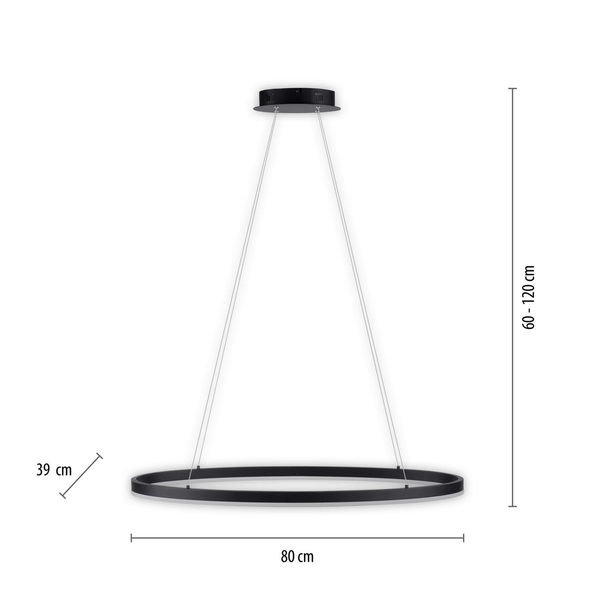 LAMPA WISZĄCA LED 2392-13 TITUS - antracytowy, Design, tworzywo sztuczne/metal (80/39/120cm) - Paul Neuhaus