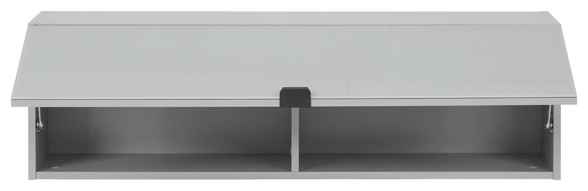 Viseči Element Poole, Svetlo Siva - črna/siva, Design, kovina/steklo (109,7/32/29cm) - Hom`in
