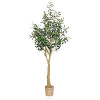 Umetna Rastlina Olive Ii - svetlo rjava/zelena, Moderno, umetna masa (60/150/60cm) - MID.YOU