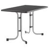Gartentisch ca.115x70x72cm Graphitfarben - Graphitfarben, MODERN, Holzwerkstoff/Metall (115/70/72cm) - Sieger