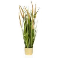Umetna Rastlina Cortaderia I - zlate barve/zelena, Moderno, umetna masa (20/78/20cm) - MID.YOU