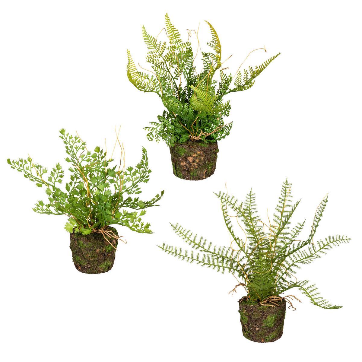 Dekopflanze Farn in Grün - Grün, Basics, Kunststoff (22cm) - Modern Living