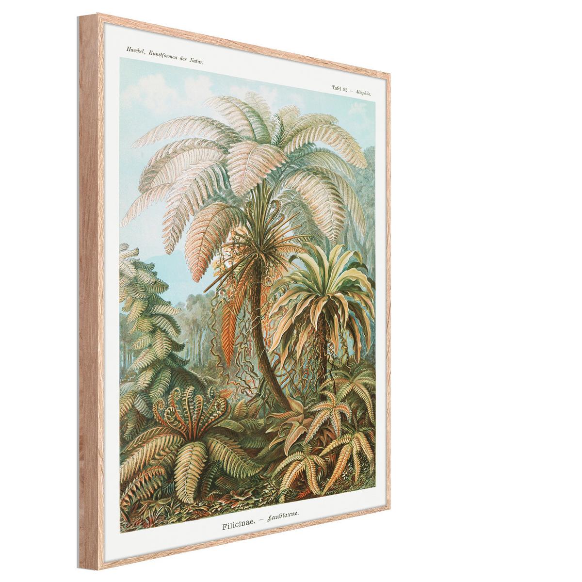 Bild Image ca. 50x70cm - Hellbraun/Multicolor, Holzwerkstoff/Papier (50/70cm) - Modern Living