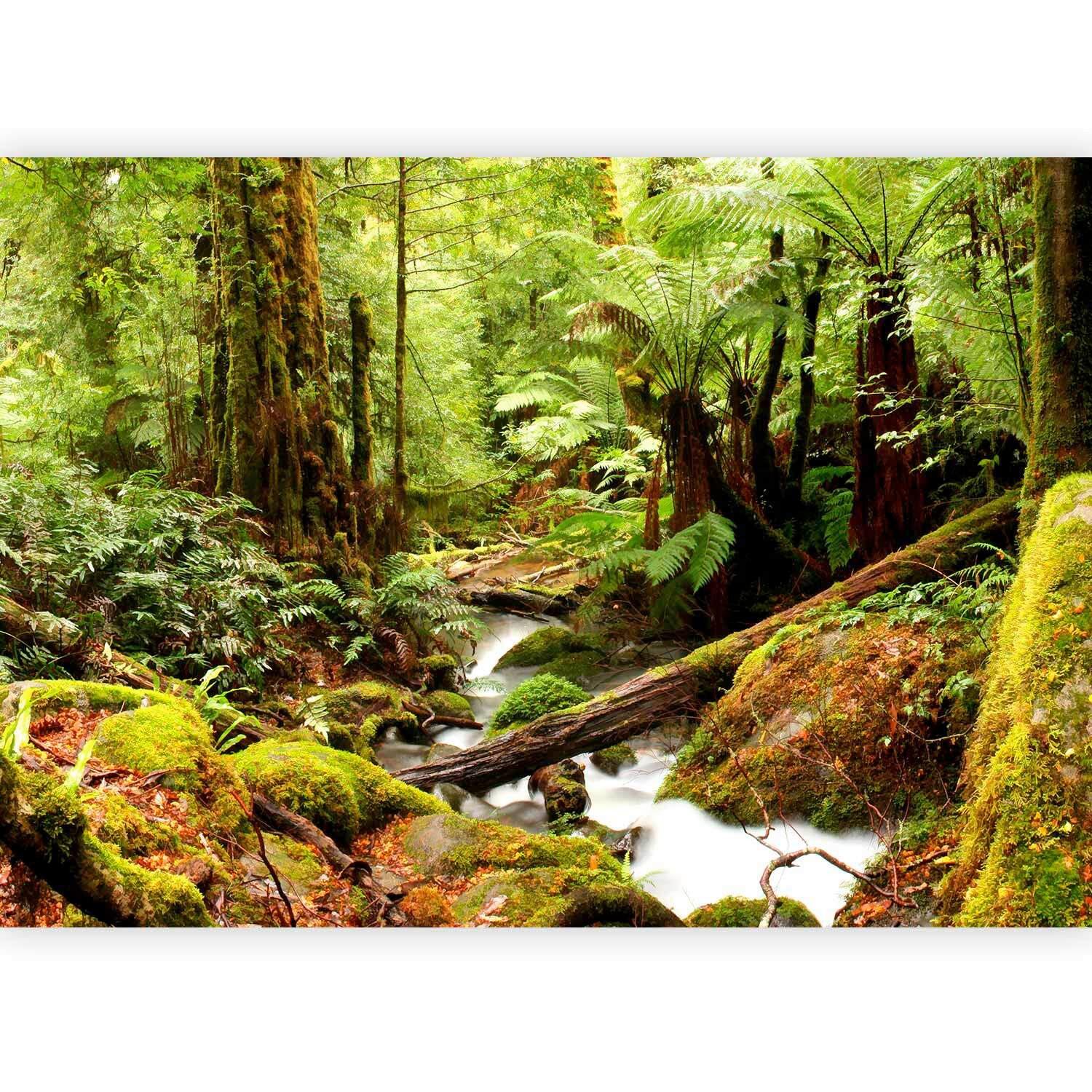 Fotótapéta Forest Brook - világoszöld/zöld, Lifestyle, textil (150/105cm) - artgeist