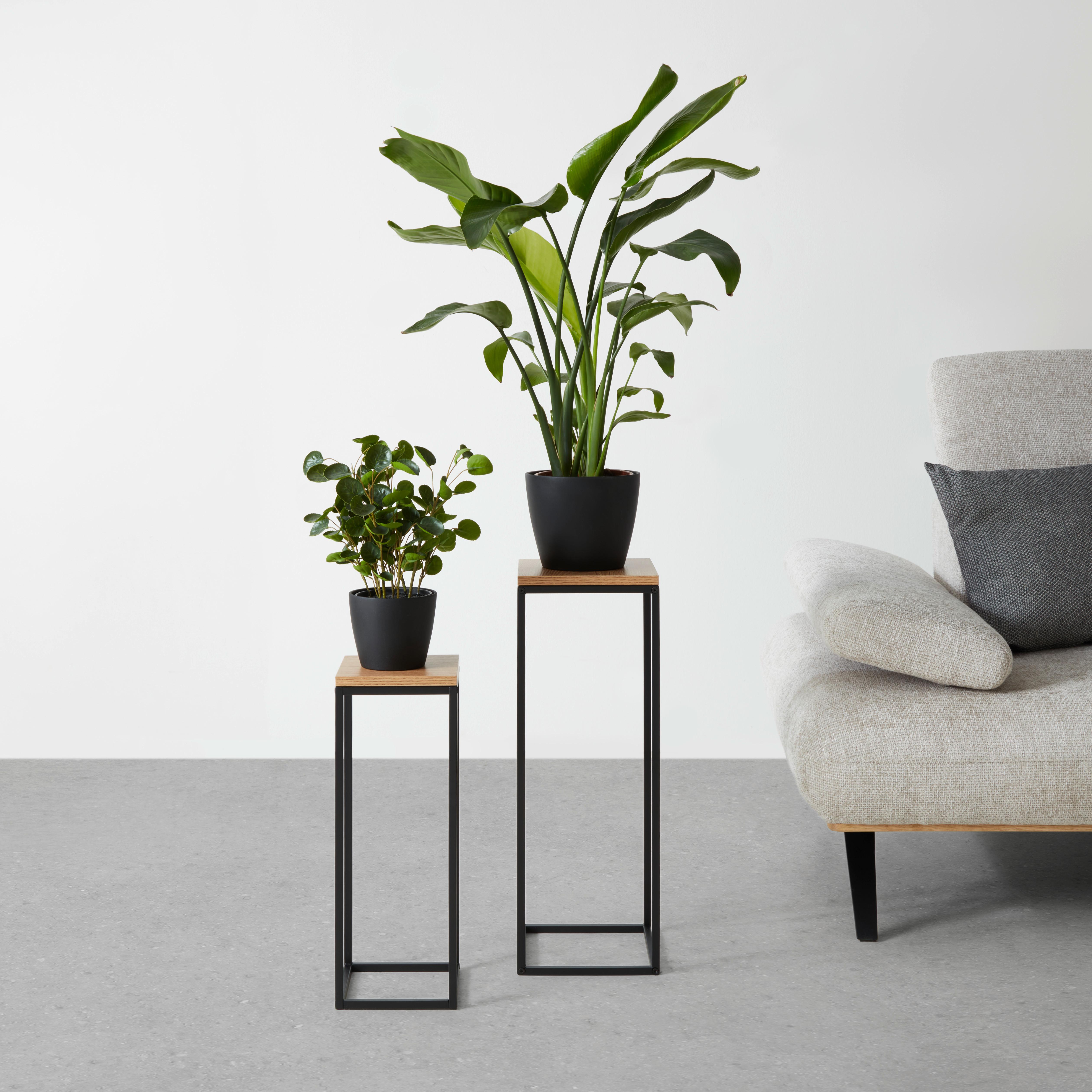 Blumensäulen-Set Watford in Schwarz/Eichefarben - Eichefarben/Schwarz, MODERN, Holzwerkstoff/Metall (19-23/54-67/19-23cm) - Mömax