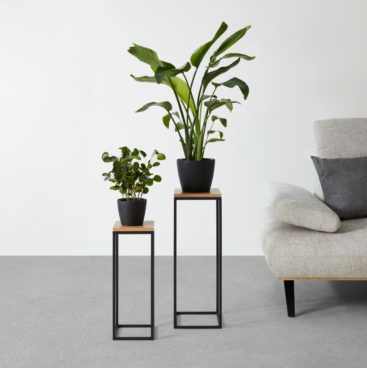 Blumensäulen-Set Watford in Schwarz/Eichefarben - Eichefarben/Schwarz, Modern, Holzwerkstoff/Metall (19-23/54-67/19-23cm) - Mömax